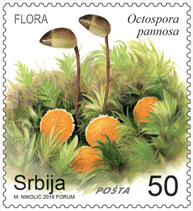 Нова поштанска маркица