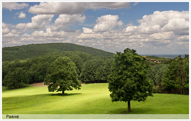 World day of the Forest